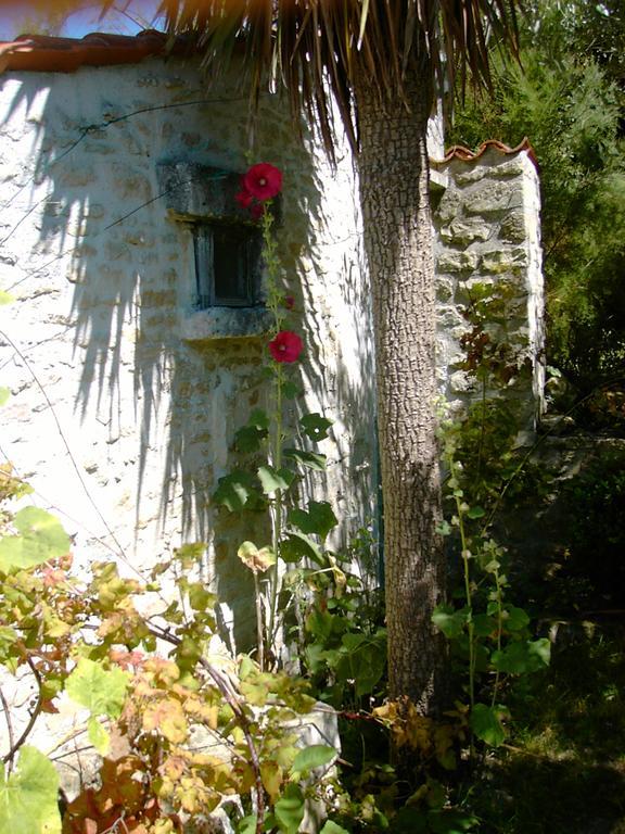 Отель Les Jardins Saint Leonard Thaire Экстерьер фото